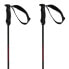 VOLKL Rentastick Carbon Poles