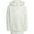 Фото #1 товара ADIDAS Future Icons Badge Of Sport hoodie