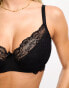 Ivory Rose Fuller Bust cut & sew padded lace bra in black