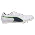 Фото #1 товара Puma Evospeed Long Jump 8 Sp Track And Field Mens Size 9.5 M Sneakers Athletic