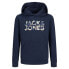 Фото #1 товара JACK & JONES Ejeff Corp Logo hoodie