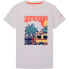 HACKETT Beach Scene long sleeve T-shirt