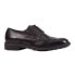 ფოტო #1 პროდუქტის GEOX U35CGC00043 Walk Pleasure Shoes