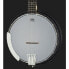 Фото #4 товара Gold Tone AC-5 5 String Resonator Banjo