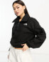 Фото #1 товара The North Face Glacier wide neck boxy 1/4 zip fleece in black Exclusive at ASOS