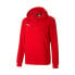 Фото #1 товара Puma TeamGoal 23 Casuals M 656580-01 sweatshirt