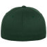 Фото #4 товара FLEXFIT Wooly Combed Cap