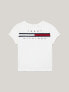 Фото #1 товара Flag Stripe T-Shirt