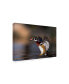 Фото #2 товара Verdon Soft Landing Duck Canvas Art - 15" x 20"