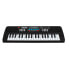 REIG MUSICALES Electronic Organ 37 Keys With Microphone Tomb With Audio Cable. 43x16x5.40 cm