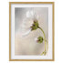 Фото #1 товара Bild Himmlischer Blütentraum IV