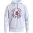 Фото #1 товара TOMMY HILFIGER Big Icon Crest hoodie