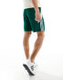 Фото #5 товара adidas Football Tiro 24 shorts in green