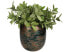 Фото #3 товара Горшок для цветов SVJ Home Decorations Blumentopf Bloempot