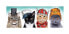 Фото #1 товара Пазл с котами Trefl Panoramapuzzle Fluffy Crew 500 деталей