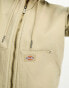 Dickies duck canvas sherpa lined jacket with hood in sand