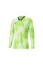 Teamtarget Gk Ls Jersey Erkek Kaleci Forması 70564620 Renkli