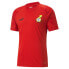 Фото #1 товара Футболка мужская PUMA Gfa Prematch Crew Neck Short Sleeve размер XXXL