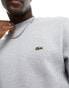 Lacoste logo sweatshirt in grey