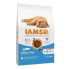 IAMS 78 / 5 000 for vitality ocean fish 10 kg dog food