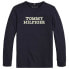 ფოტო #1 პროდუქტის TOMMY HILFIGER Logo long sleeve T-shirt