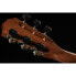 Taylor 512ce 12-Fret Urban Ironbark