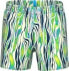 Arena Męskie Szorty MEN'S ARENA WATER PRINTS BEACH SHORT AO