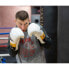 Фото #10 товара Boxing gloves Yakmaspor lion 12 oz 10034212OZ