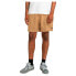 Element Carpenter Twill shorts