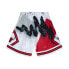 Mens Mitchell & Ness NBA HYPER HOOPS SWINGMAN SHORTS - CHICAGO BULLS 1997