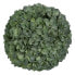 Фото #1 товара Декоративное растение Зеленый PVC 23 x 23 cm