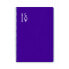 Фото #1 товара ноутбук ESCOLOFI 5 штук Фиолетовый Четверть 50 Листья