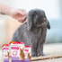 ფოტო #6 პროდუქტის BEAPHAR RabbitComfort 48ml pack diffuser and replacement for rabbits