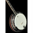 Фото #10 товара Gold Tone IT-250-F Irish Tenor Banjo w/C