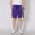 Брюки Nike Lakers Courtside Statement Edition AV3545-504