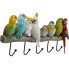 Wandgarderobe Exotic Birds