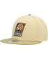 Men's Khaki, Tan Phoenix Suns Green Collection 9FIFTY Snapback Hat