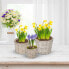 Runder Blumentopf im 3er Set