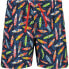 CMP 33R9034 Swimming Shorts