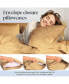 2PC Queen Rayon From Bamboo Solid Performance Pillowcase Set - Luxclub