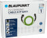 Blaupunkt A1P16AT1 - Green - Type 1 - Type 1 - Angled - Angled - IP54