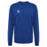 Фото #1 товара HUMMEL Authentic CO Training sweatshirt