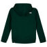 Фото #2 товара tHE NORTH FACE Biner Graphic Hoodie