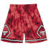 Фото #1 товара Mens Mitchell & Ness NBA GALAXY SWINGMAN SHORTS - CHICAGO BULLS 1997