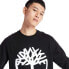 Фото #4 товара TIMBERLAND Core Tree Logo Crew Brushback sweatshirt