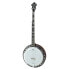 Фото #1 товара Richwood RMB-905-A 5 String Banjo