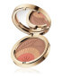 Фото #1 товара Clarins Ever Bronze & Blush Compact Powder (10 g)