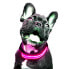 Фото #1 товара FREEDOG LED Collar