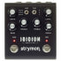 Фото #5 товара Strymon Iridium Amp & IR Cab