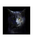 Фото #1 товара Alain Gillet Blue Cat Canvas Art - 20" x 25"